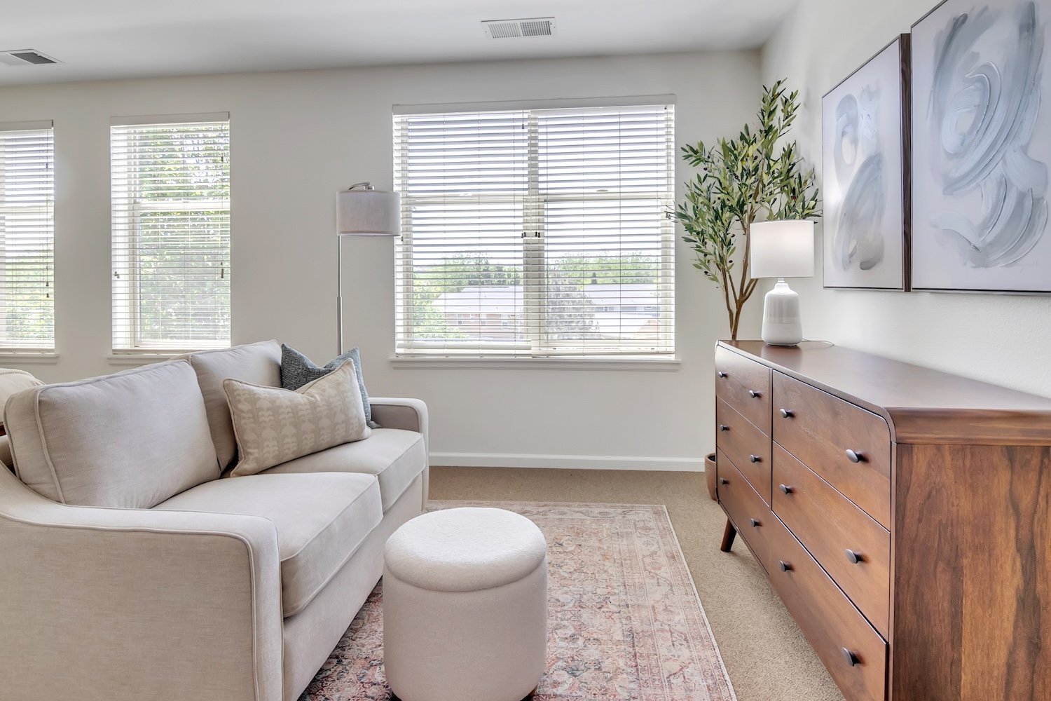 Living room with white couch and wood cabinet