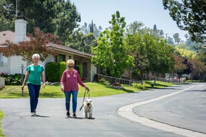 2 woman walk on road with a dog