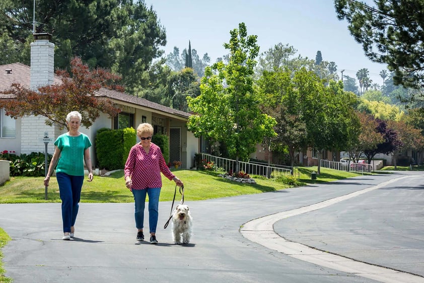 2 woman walk on road with a dog