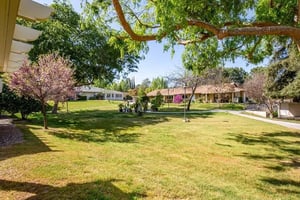 Another angle of view of green