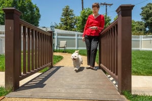 Woman on brown bridge with her dog