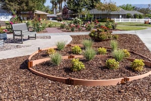 Circular mulch garden