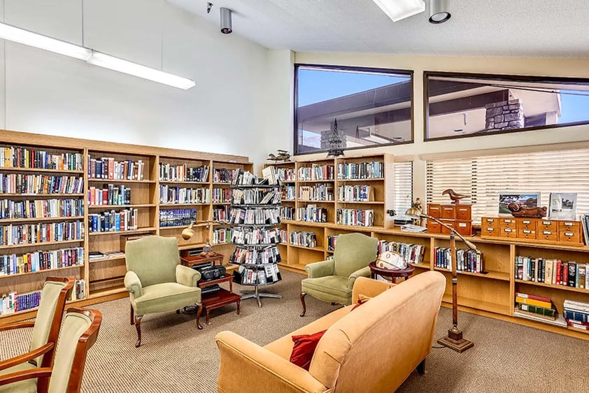 Library with cozy sofas