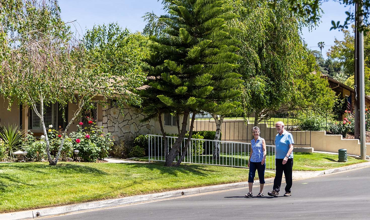 Walking in road