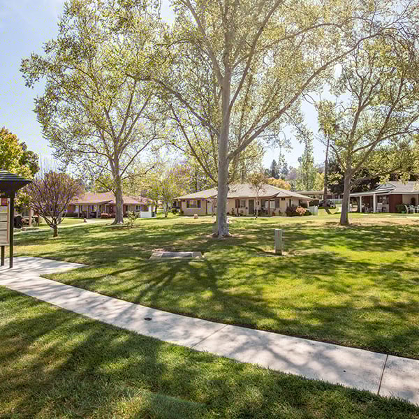 Abundant Green Space