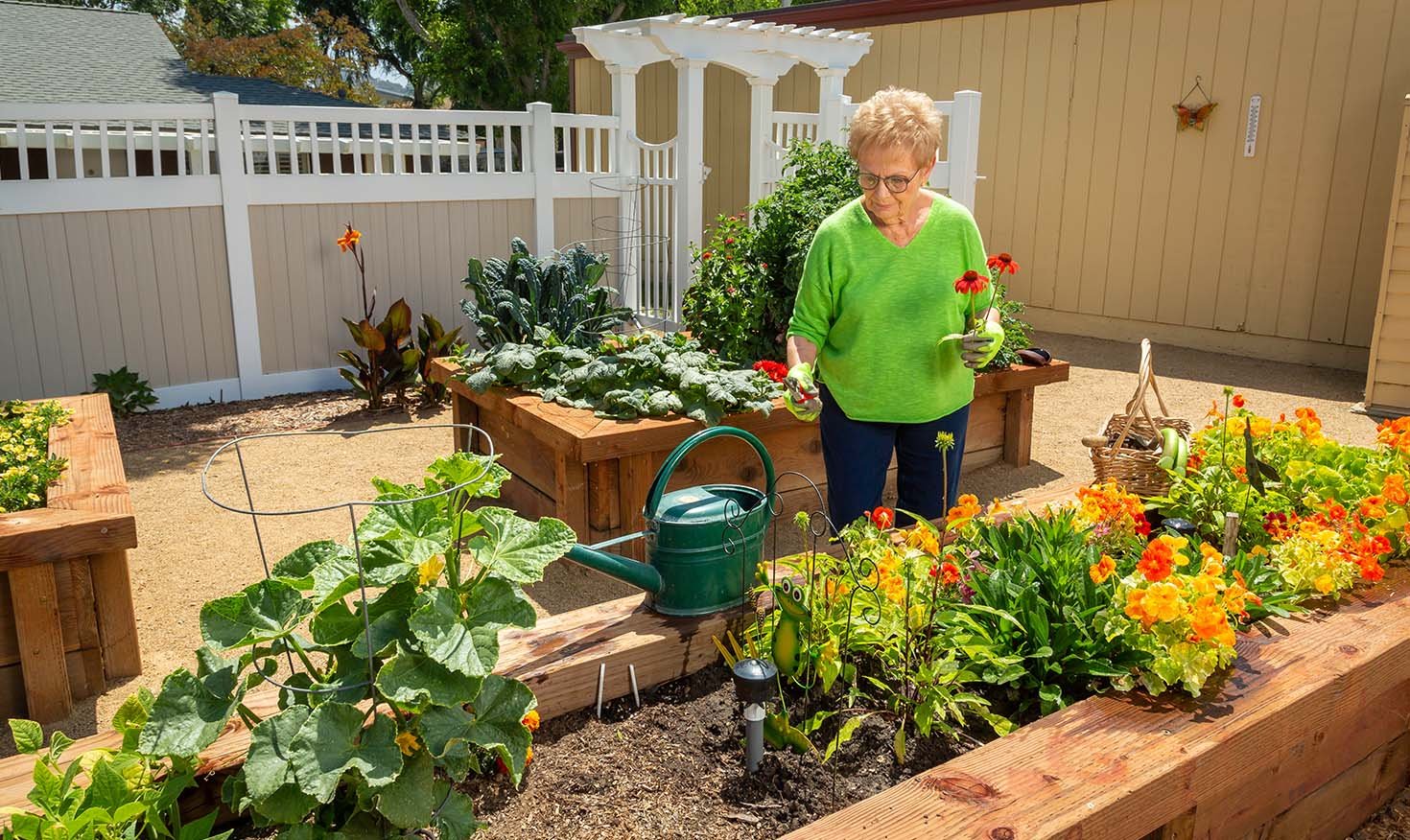 Raised planters