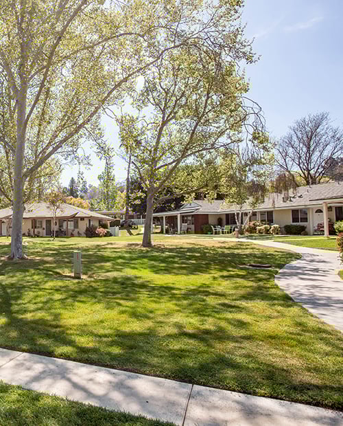 Extensive walking paths and green space