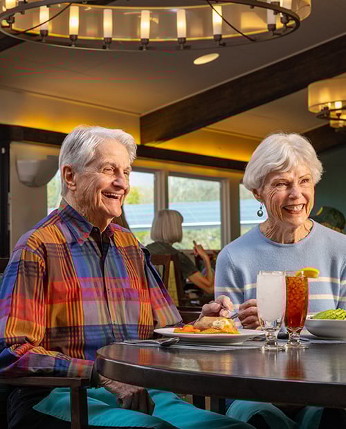 two seniors having dinner