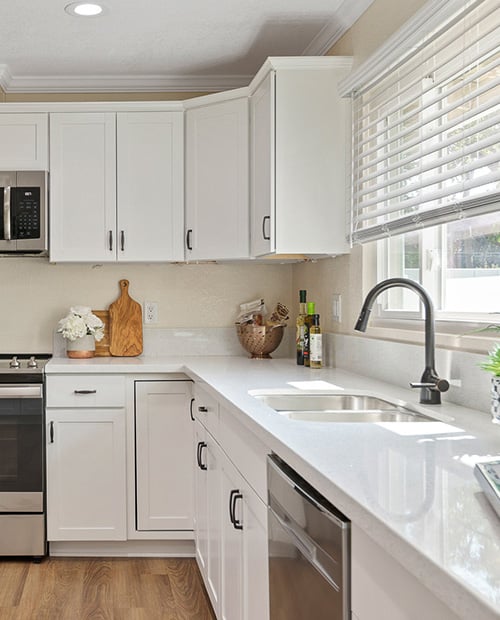 Kitchen Modern fixtures and finishes