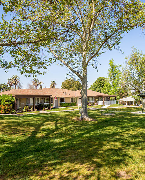 Green space on a 32-acre campus