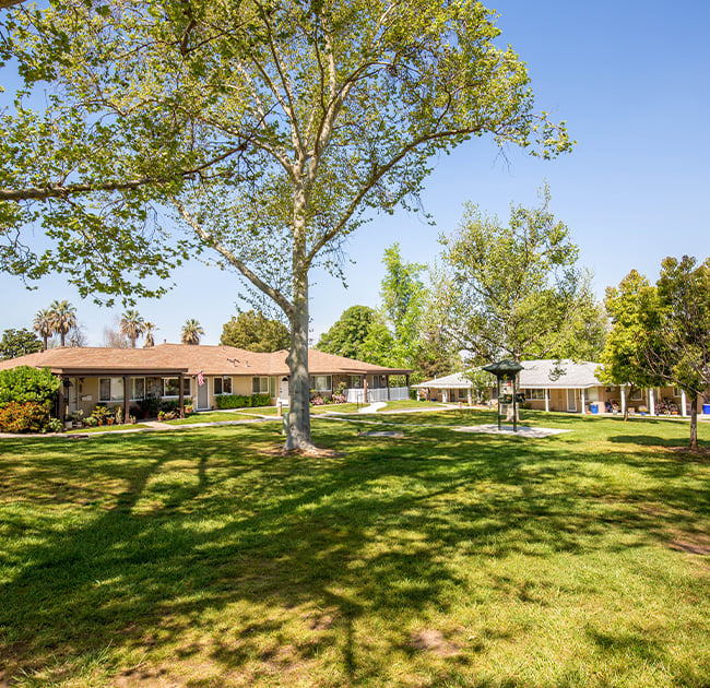 Abundant Green Spaces