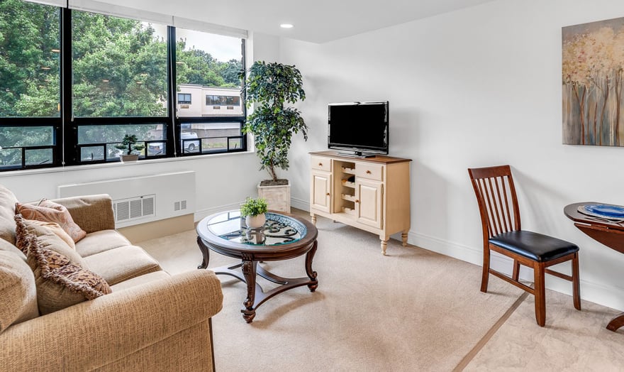 interior image of an apartment living room