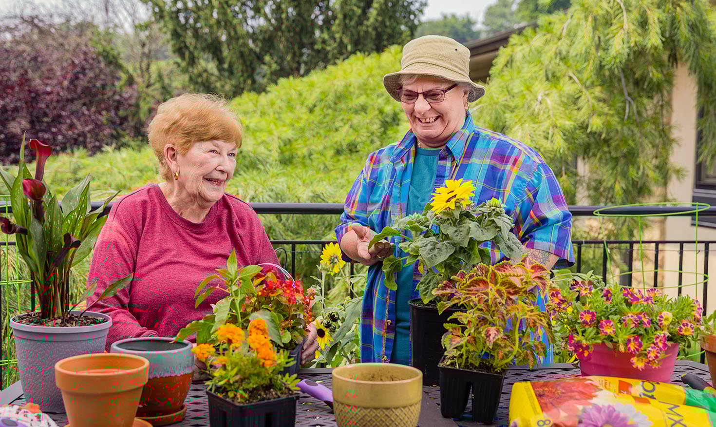 seniors planting flowers outside