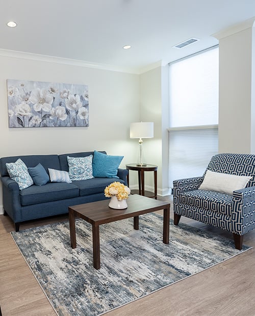 modern interior of a living room