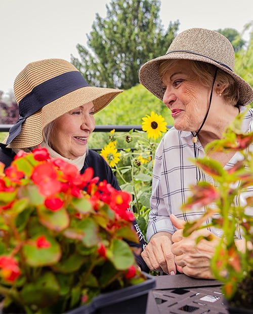 seniors wearing sun hats while gardening outside