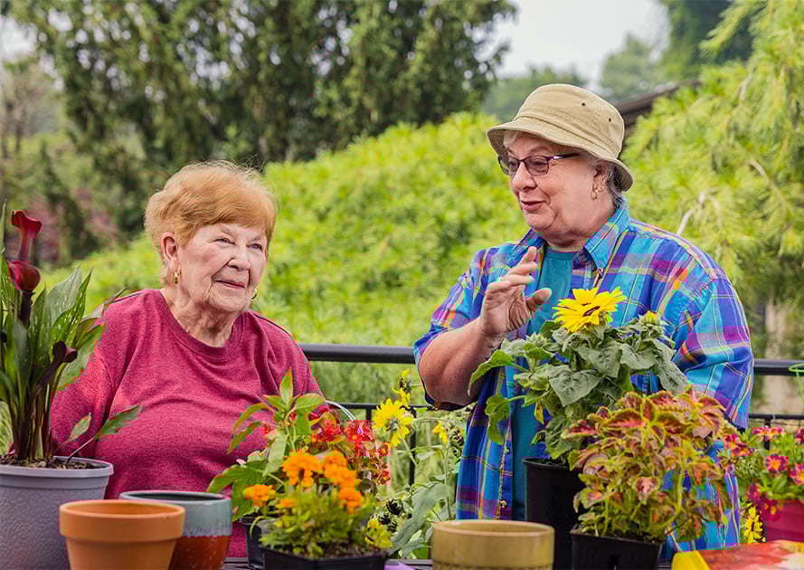 seniors outside planting in garden